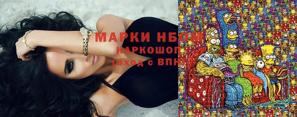 спайс Арсеньев