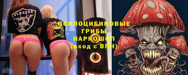 спайс Арсеньев