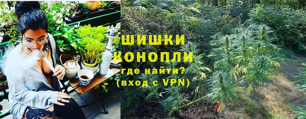 спайс Арсеньев